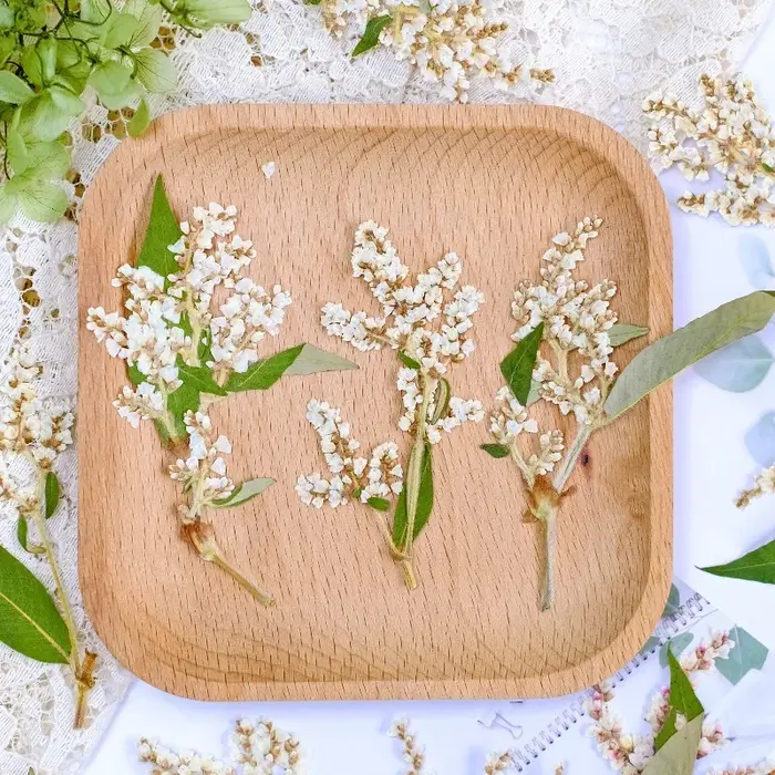 12 pièces, fleurs pressées séchées de sarrasin naturelles