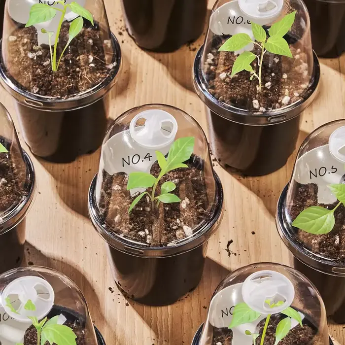 Pots de pépinière, pots à fleurs