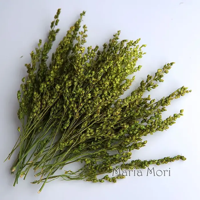 10g/Coloré Fleurs de maïs séchées blanchies, Nouveauté, Matériaux artisanaux teints à la main, pour 