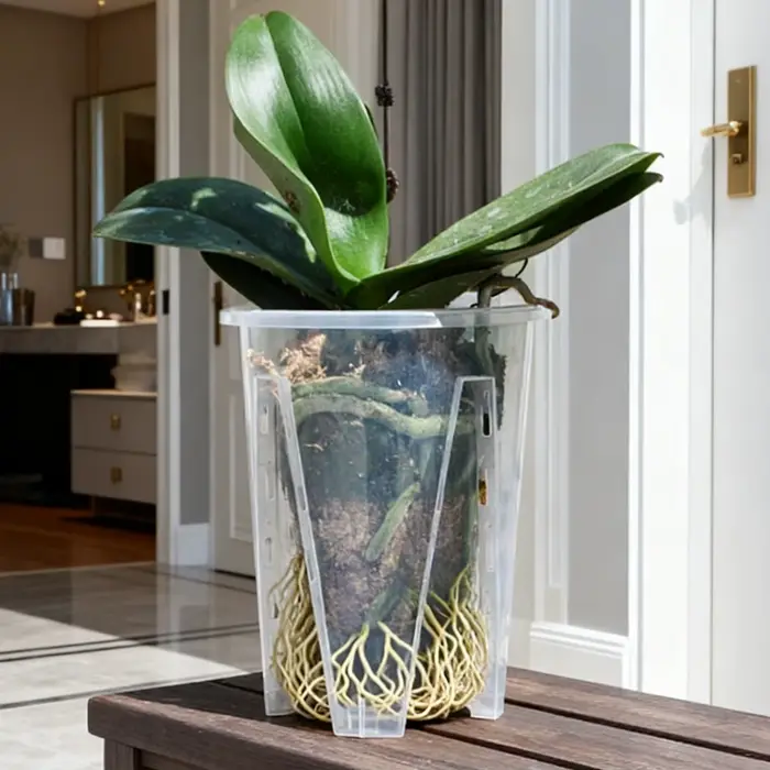 Pots d'orchidées avec stomates
