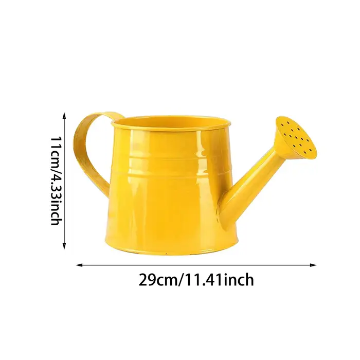 Bouilloire d'arrosage en fer métallique