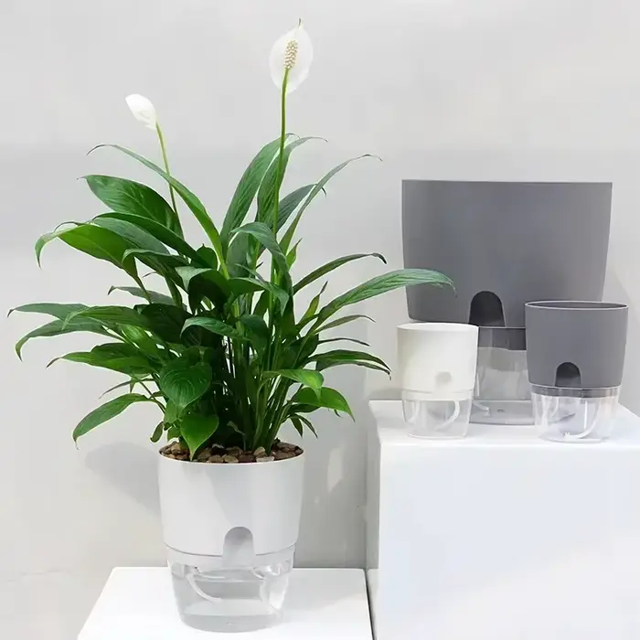 Pot de fleur en plastique Transparent Double couche
