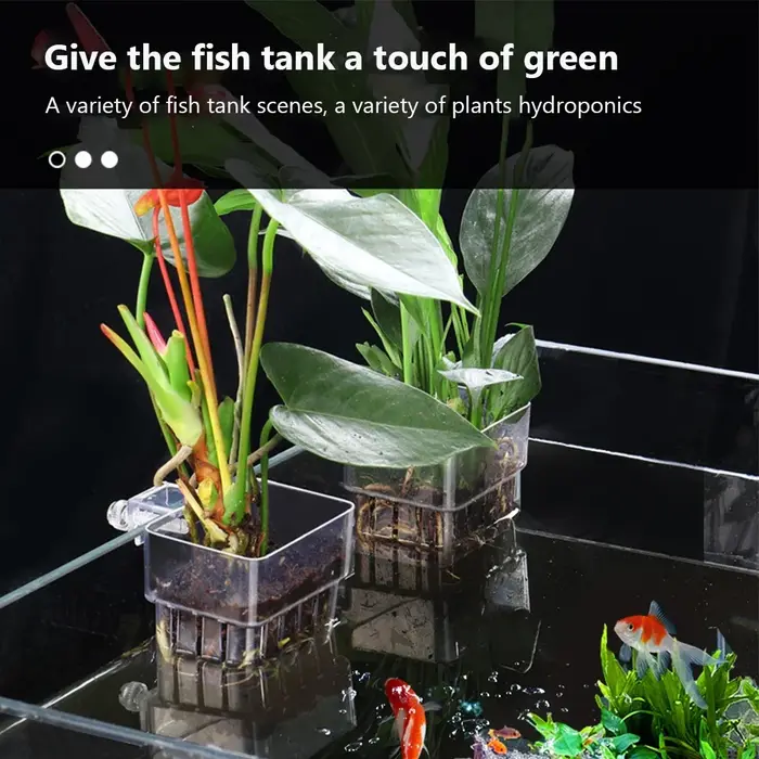 Panier de plantes d'aquarium Transparent