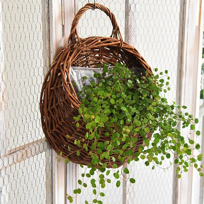 User inière de fleurs en rotin faite à la main pour la décoration intérieure