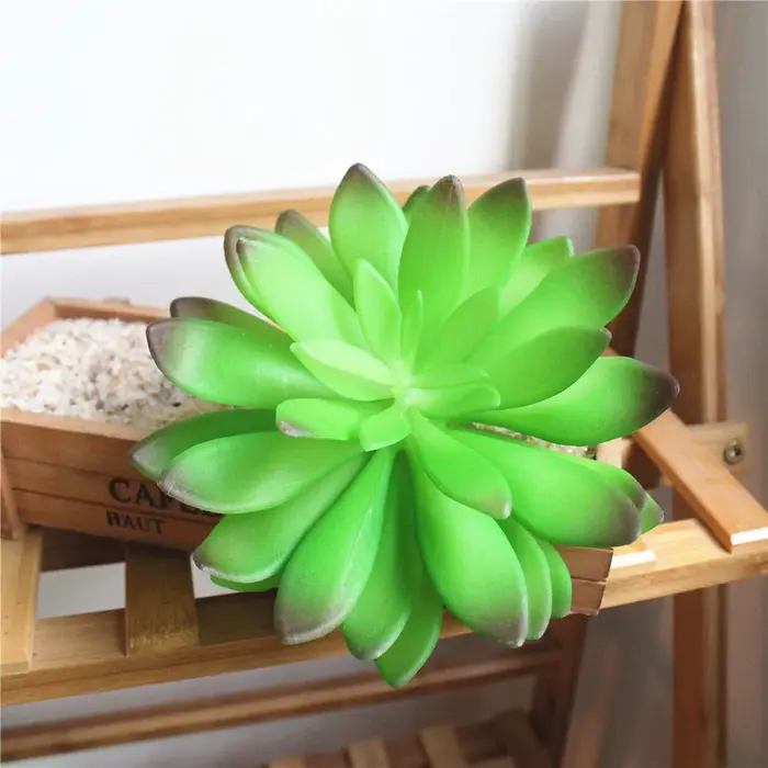 Tête de fleur de Lotus vert rouge