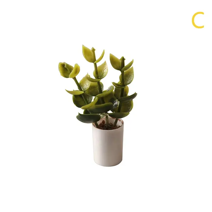 Plante l'inventaire en pot pour maison de courses, plante à feuilles vertes, bonsaï, décoration de j