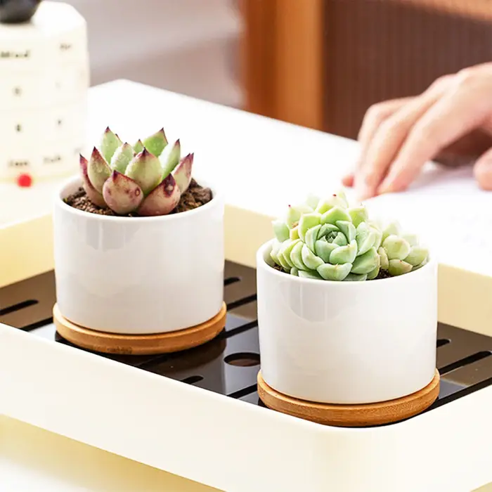 Mini pot de fleurs en céramique blanche Simple