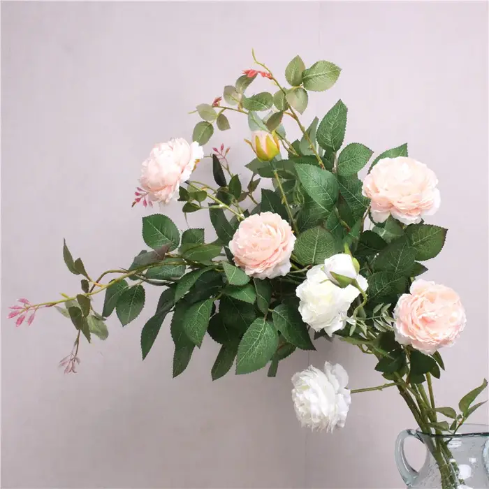 Plantes vertes pour décoration