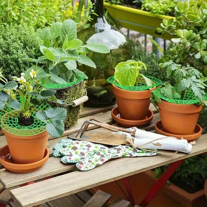 Support de plantation robuste pour fraises et pastèques (20/50 pièces) - Cadre