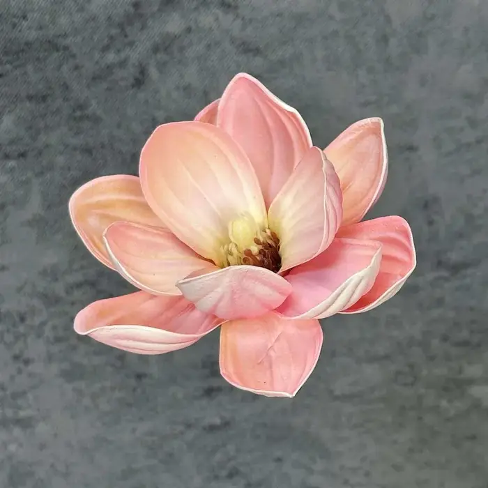 Artificia 20 pièces/lot EVA Magnolia grande fleur tête 13/18CM Dia