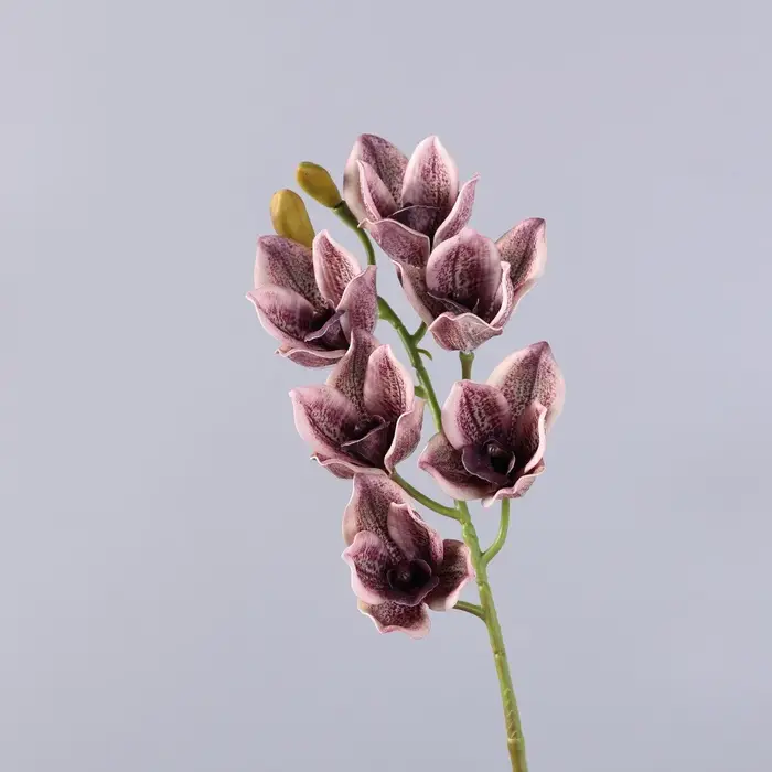 6 têtes d'orchidées artificielles Papilio