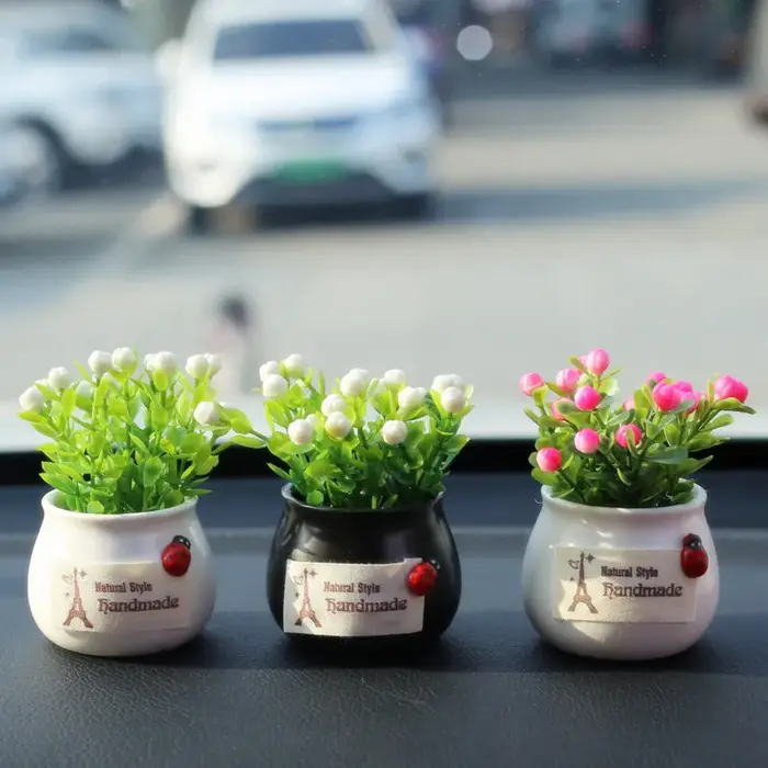 Plante porte-bonheur en pot
