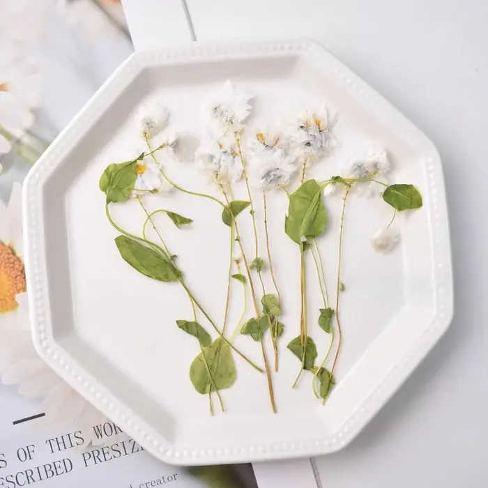 24 pièces, fleur séchée naturelle en relief