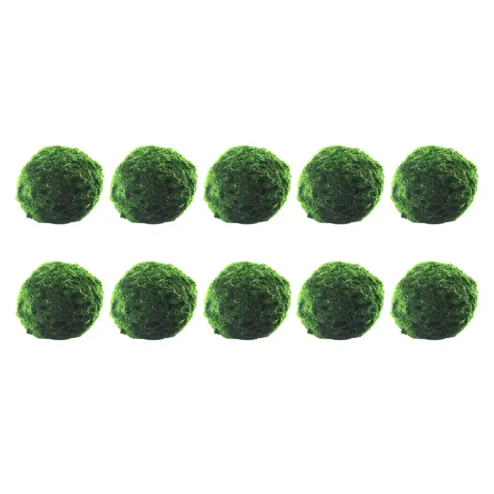 Boules d'algues hydroponiques, 10 pièces, culture d'eau, plantes d'aquarium pour réservoir de crevet