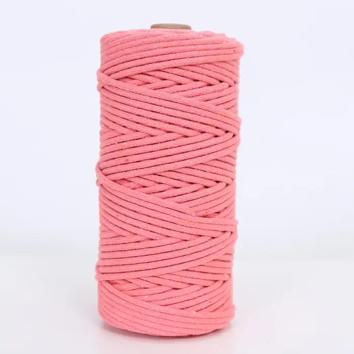 Cordon en macramé de 100 m, 3 mm/4 mm, 100 % coton, pour la fabrication de suspensions de plantes fa