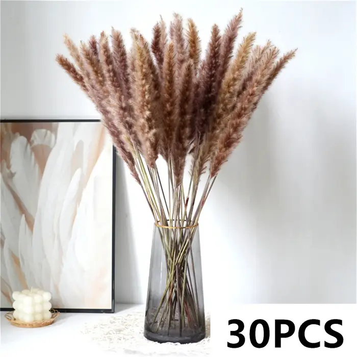 Bouquet de roseaux des marais séchés naturels, fleurs de mariage, phragmites moelleux, herbe d'amour