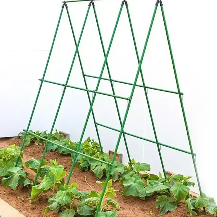 Nouveau 2026 Treillis de support robuste pour plantes grimpantes