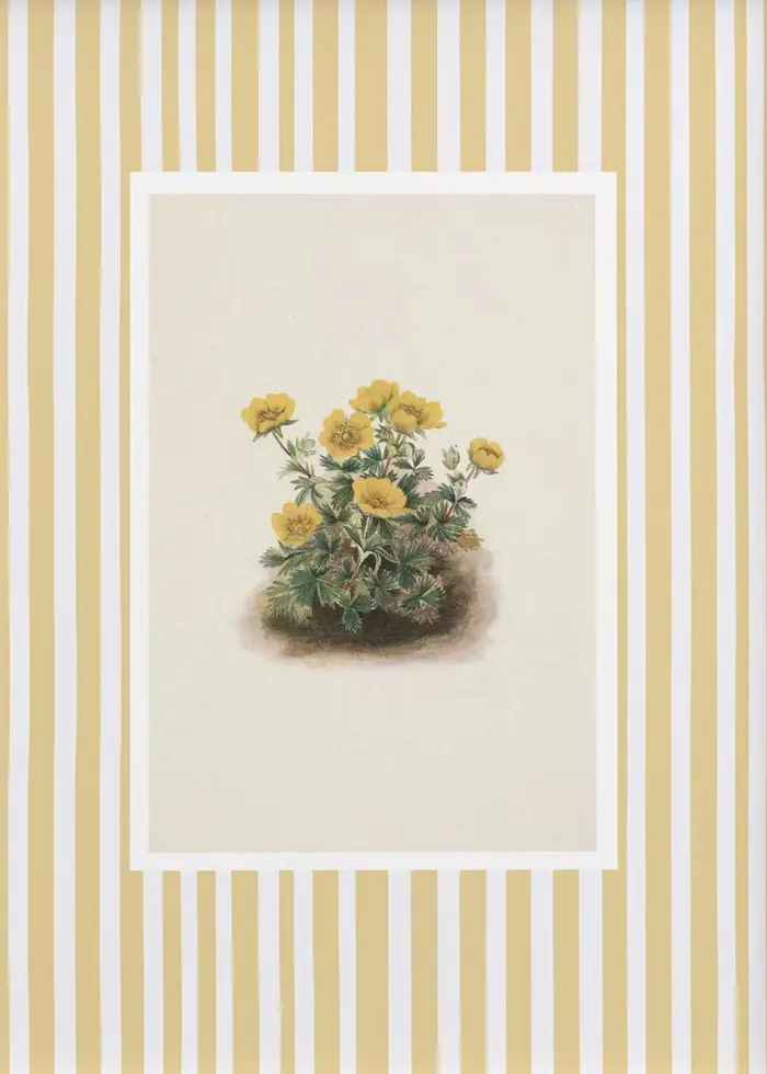 Toile de fond rayé de fleur botanique de tournesol de lys bleu, peinture murale imprimée, affiche d'