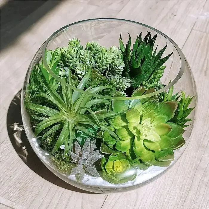 Plantes succulentes en PVC