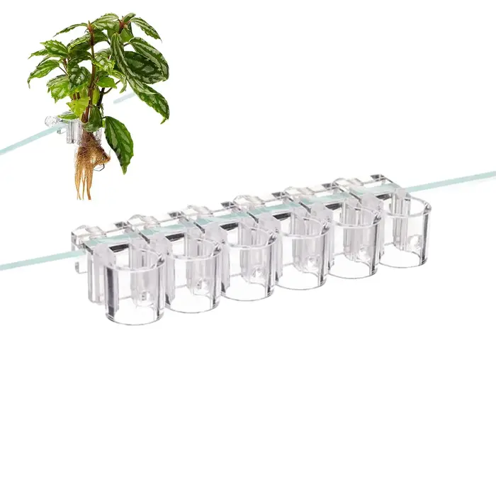 Support de Plantes d'Aquarium 6 Pièces