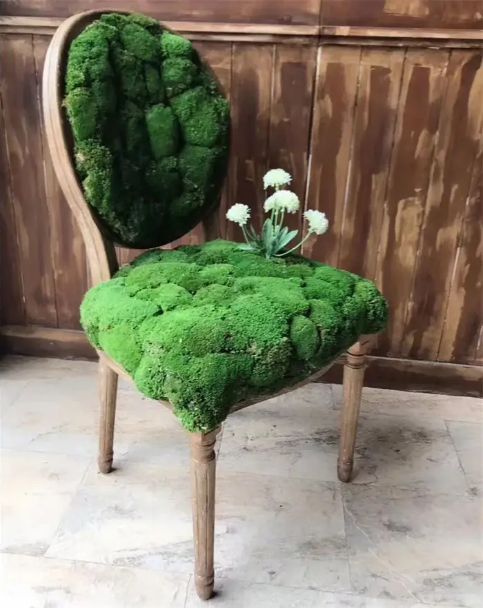 Plante artificielle vie éternelle mousse/jardin décoration murale bricolage fleur matériel Mini jardin Micro paysage accessoires