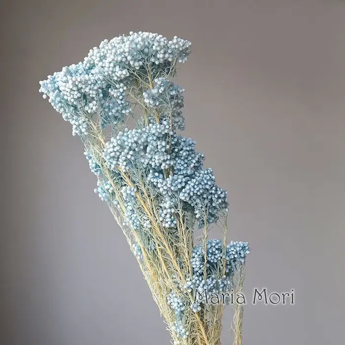 Fleurs séchées conservées de Style nordique, 40g, véritable fleur de Millet florale naturelle pour l