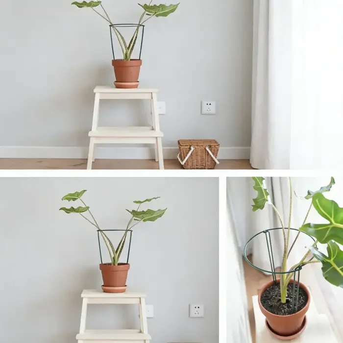 Support de treillis métallique semi-circulaire 35 cm (6-12 pièces) pour plantes d'intérieur
