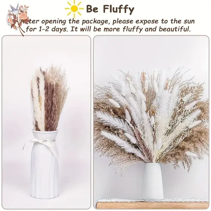 60 Pièces de Bouquet de Fleurs Séchées d'Herbe de la Pampa