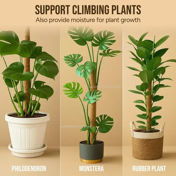 Support de plante grimpante en forme de bâton de palmier de coco