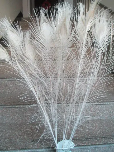 Nouveau! Plumes de paon naturelles pour vase à fleurs décoré, bricolage, mariage, salon, qualité, 50