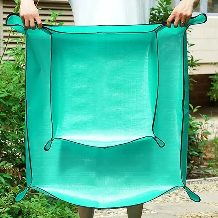 Tapis de régénération des plantes
