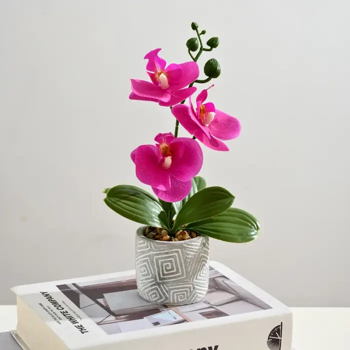 Créatif 3 fleurs et 3 feuilles Phalaenopsis bonsaï Simulation fleur