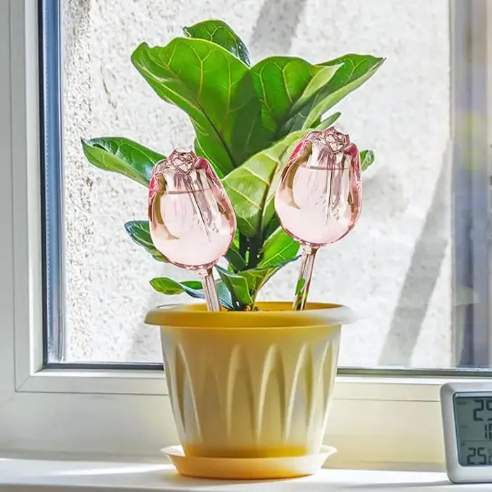 Dispositif d'arrosage créatif pour plantes de jardin Tulip