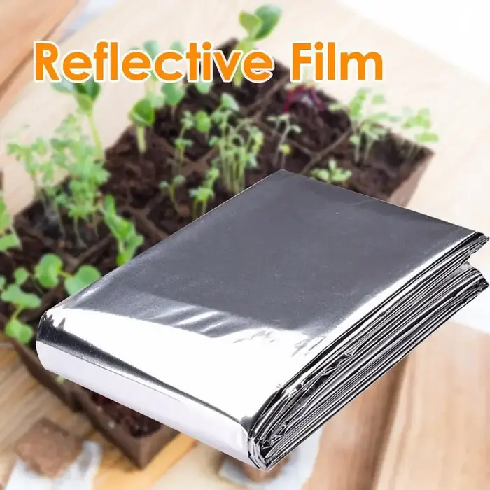 Film Mylar pour mur de jardin