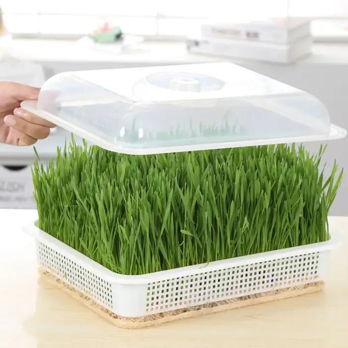 Fournitures de jardinage