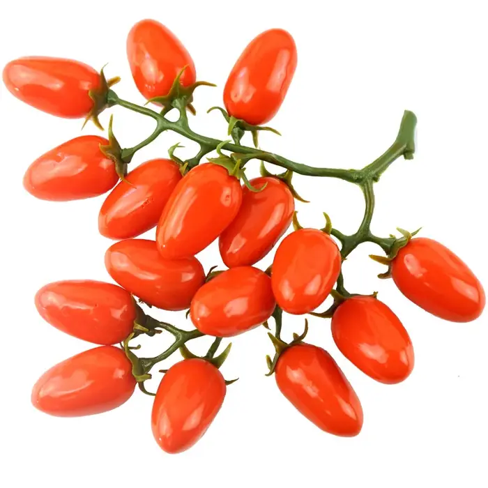 Tomates cerises artificielles
