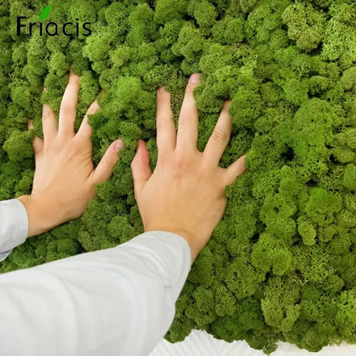Plante Verte Artificielle de Qualité