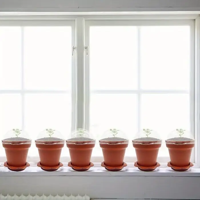 Pot de fleur en forme de tasse en papier avec couvercle d'humidité