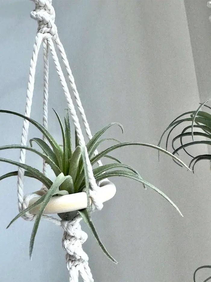 Cintres Muraux en Macramé pour Plantes à Air