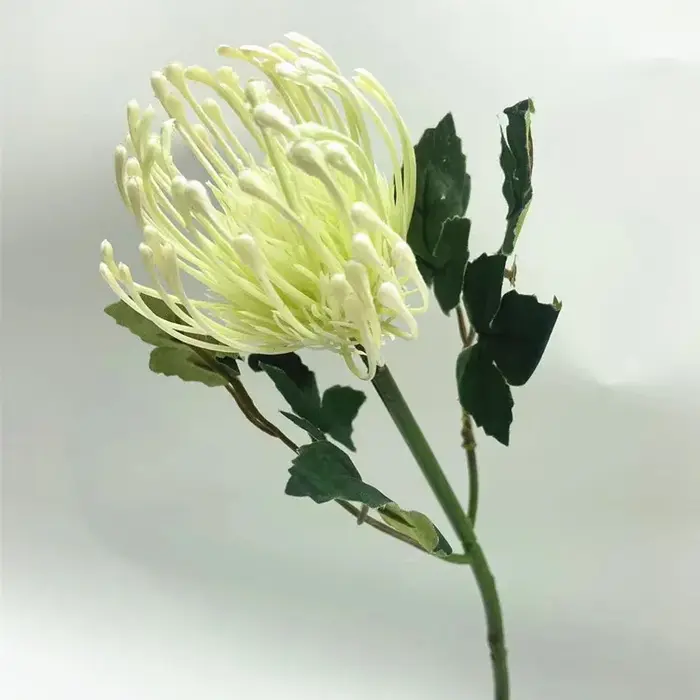 Branche de fleur de pissenlit artificielle, 3 pièces, plante Faux Leucospermum Cordifolium