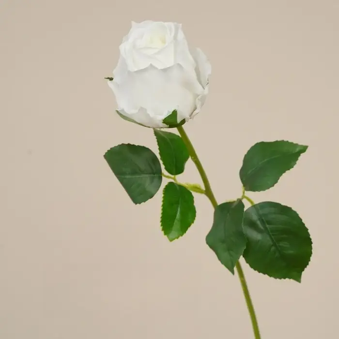 10 pièces de fleurs artificielles blanches au toucher réel, roses crème, pour la décoration des cent