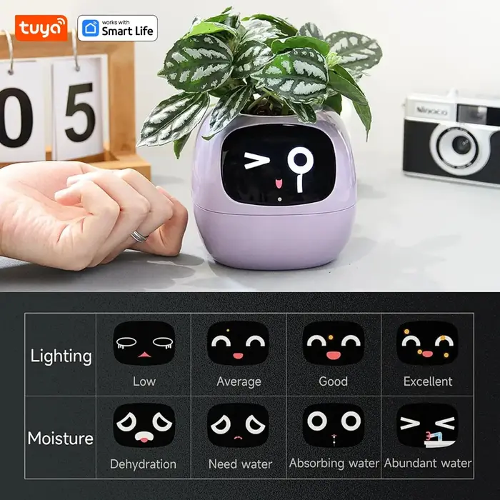 Jardinière intelligente Tuya Gen1 Ivy