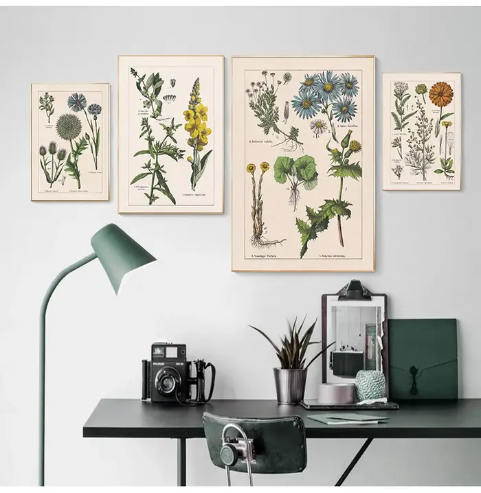 Affiches et impressions d'herbes botArabes vintage