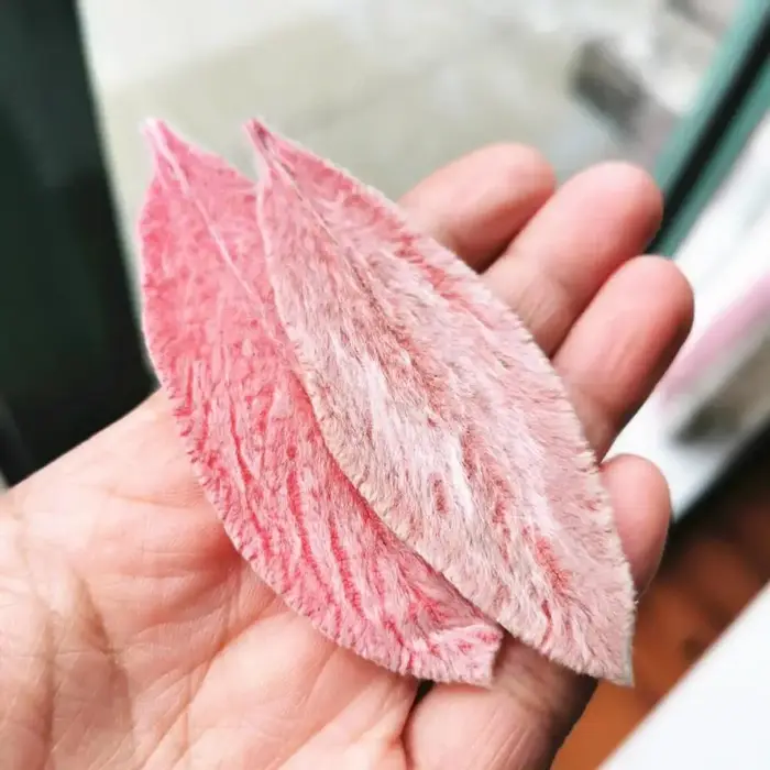Feuilles de Lanata préservées