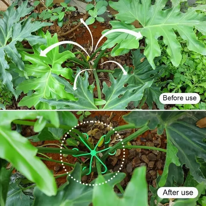 Clips de Support de tige de plante