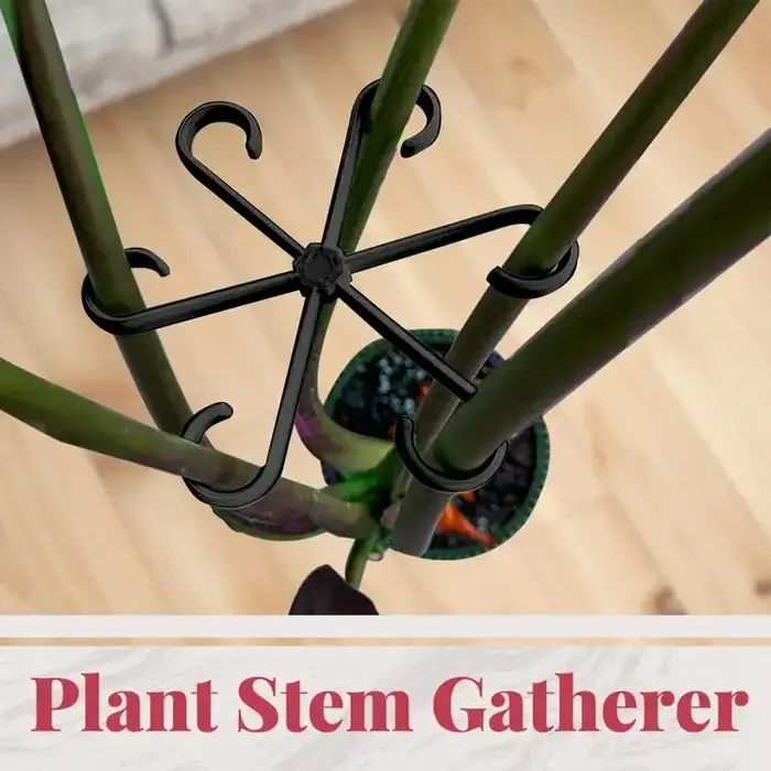 Clips de Support pour plantes grimpantes