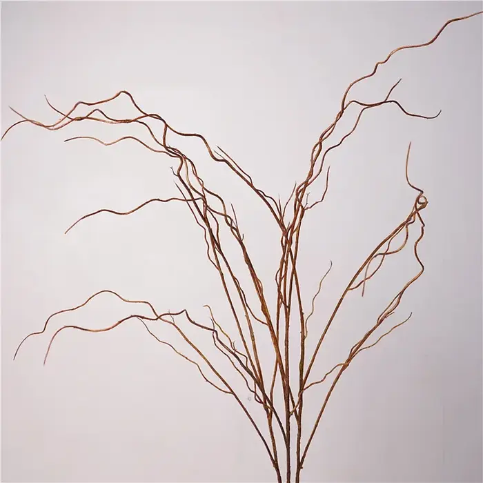 Simulation de Branches vaccées