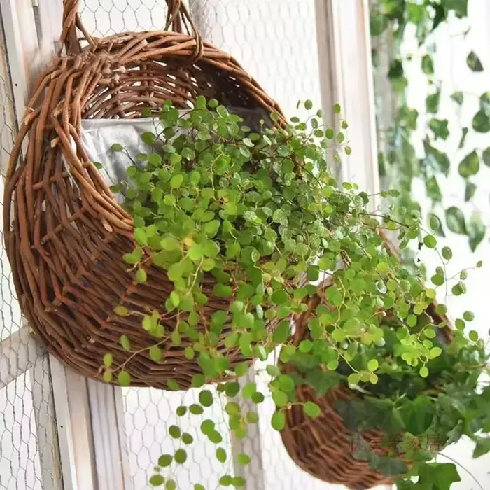 Jardinière murale en rotin tressé à la main