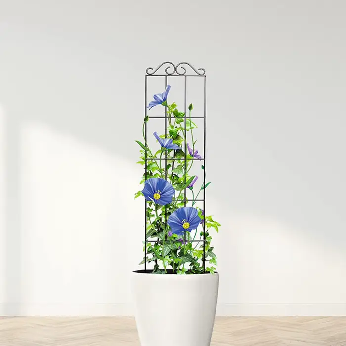 Treillis de jardin en métal pour plantes grimpantes