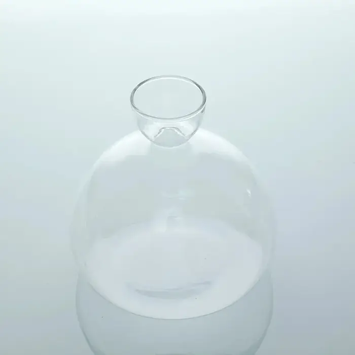 Kit de culture de graines d'avocat transparent – Vase en verre pour démarreurs de plantes